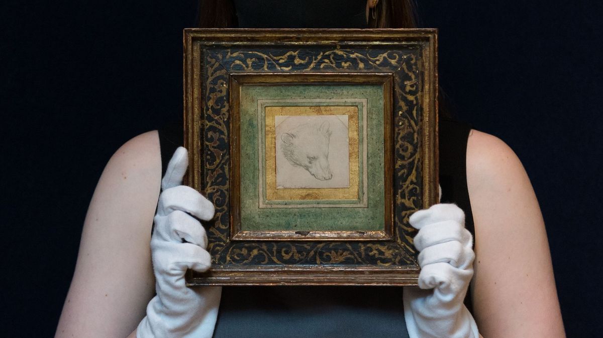 Da Vinciho kresba medvědí hlavy se v Londýně prodala za čtvrt miliardy korun